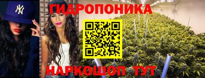 сатива Малгобек