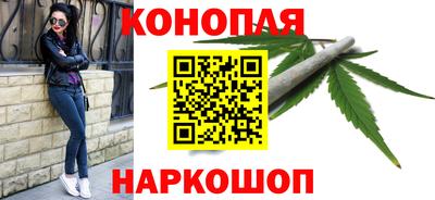 сатива Малгобек