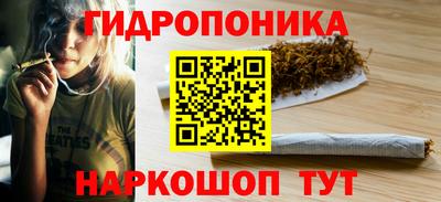 прущие крисы Мариинск