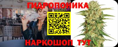 сатива Малгобек