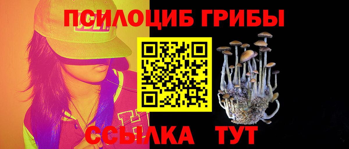 Псилоцибиновые грибы Magic Shrooms Ялуторовск